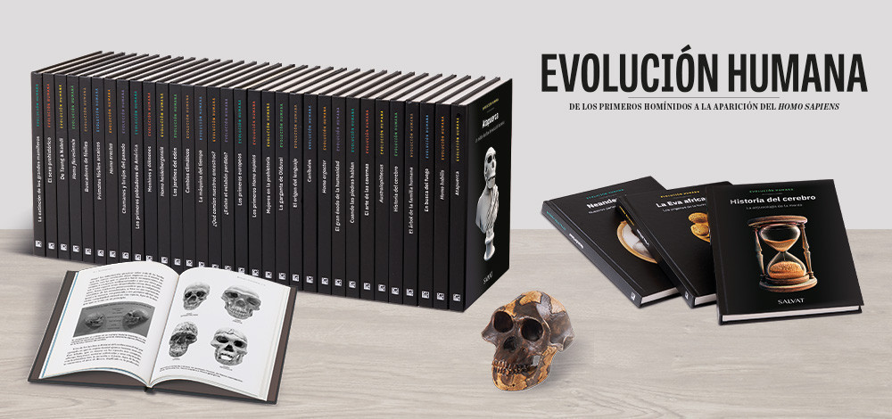 Evolución Humana